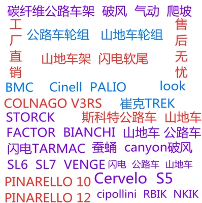 碳纤维车架整车定制自行车
