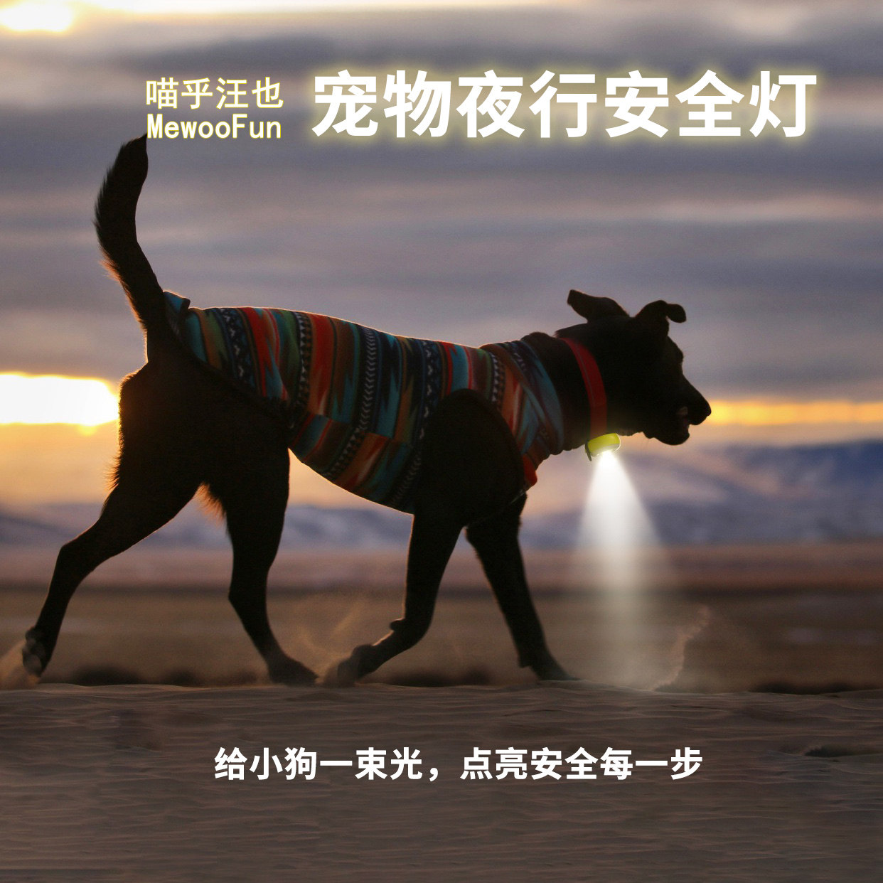 喵呼汪也宠物夜行安全灯图片