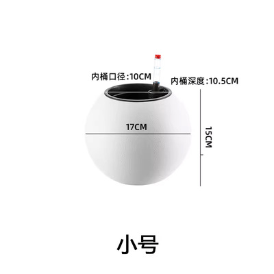 水养形家居摆件球绿萝皿器花盆北欧桌面绿植水培花瓶创意饰品花瓶