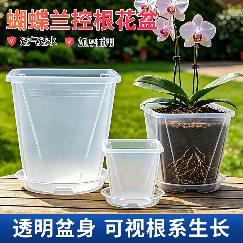 高透明度根系直观环保材质耐摔打图片