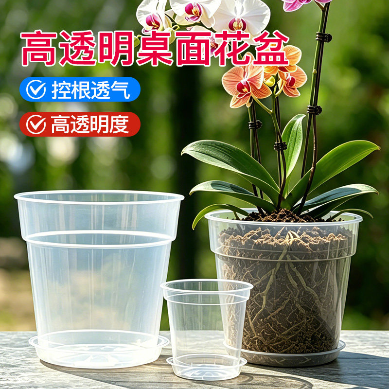 高透明硬质塑料花盆蝴蝶兰育苗多肉兰花铁皮石斛观根控根透气盆
