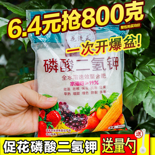 养花秘诀适用于各种植物促花壮花