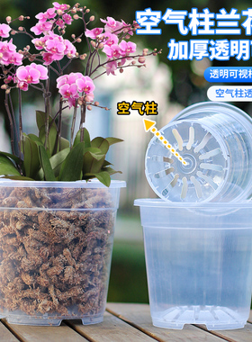 蝴蝶兰专用花盆高透明青山盆文心兰盆透明钵观根花盆控根盆兰花盆