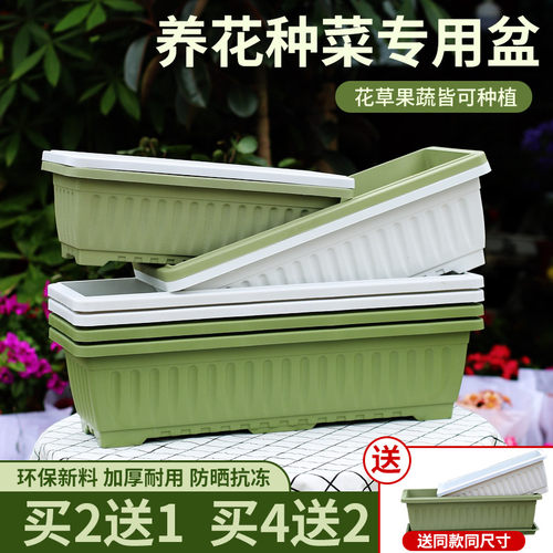 阳台种菜养塑料花盆买2送1买4送2