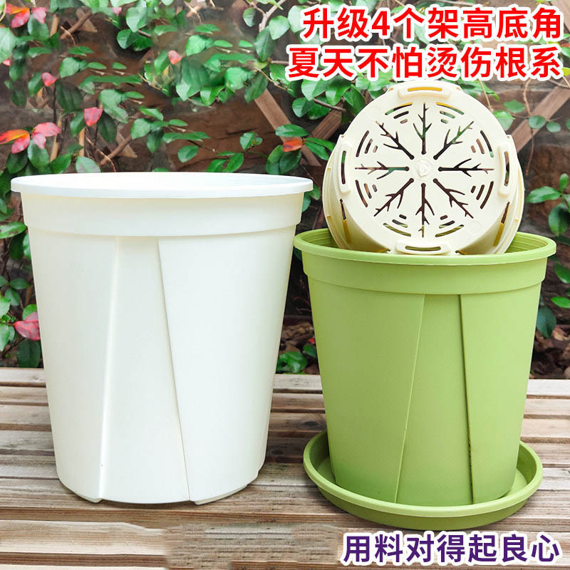 青山月季控根盆套装更优惠图片