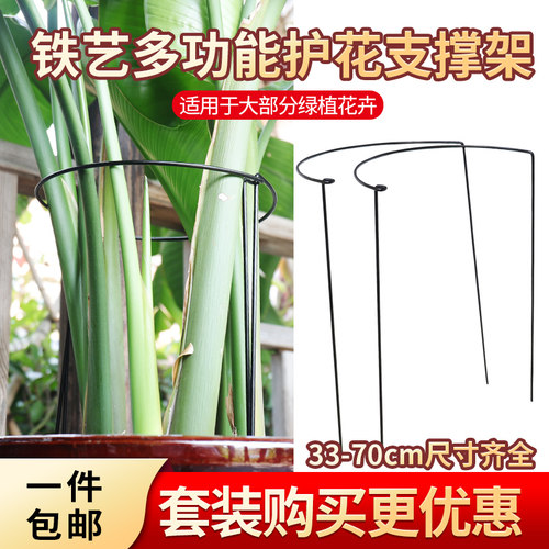 半圆形防倒绣球天竺葵龟背竹花架