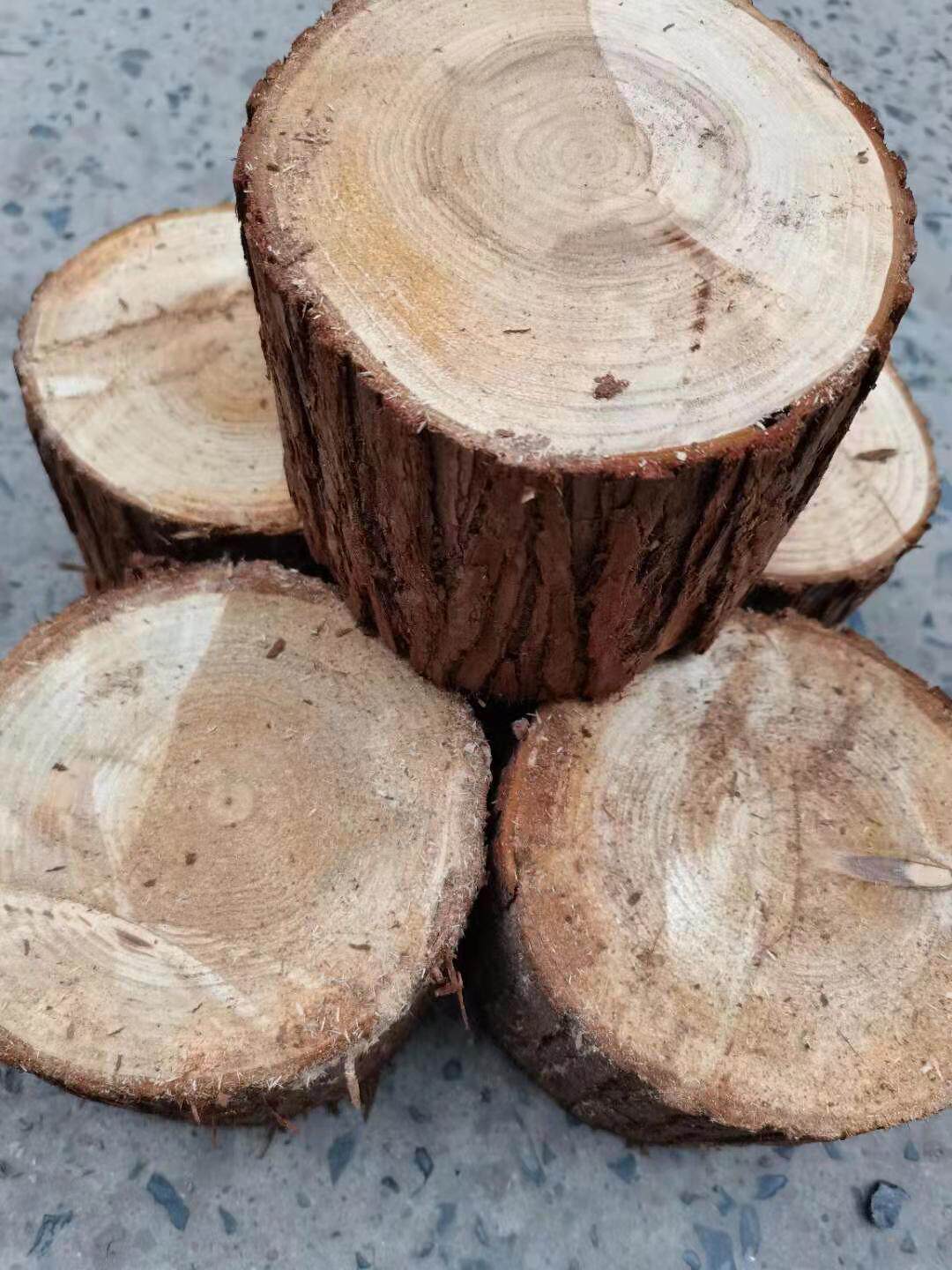种植金钗石斛铁皮鼓槌花盆木桩