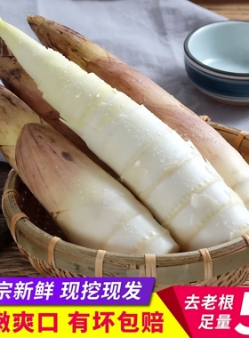 临安雷笋新鲜春笋现挖现发脆嫩无渣当季鲜笋蔬菜包邮