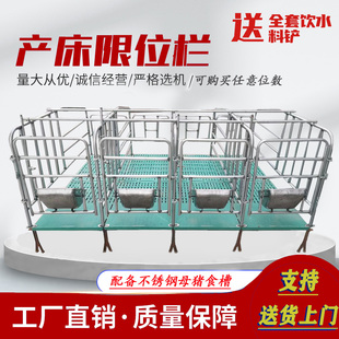 母猪定位栏限位栏加厚2.5国标热镀锌母猪产床仔猪保育床养猪设备