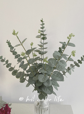 韩国复古仿真尤加利绿植摆件ins插花假花北欧房间家装金钱叶单只