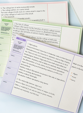 韩国iPlaybox 高颜值康奈尔高效B5可撕拍纸本记录本 便签纸  50张