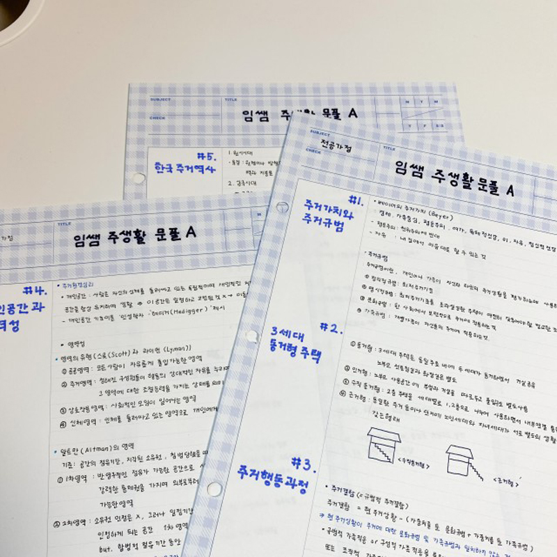 Ahora三孔网格b5拍纸本