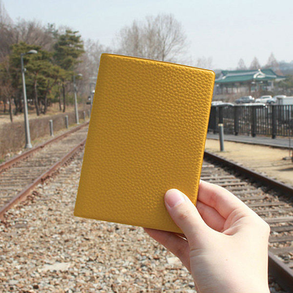韩国Fenice 高级感防盗刷皮质护照夹保护套护照包 passport cover