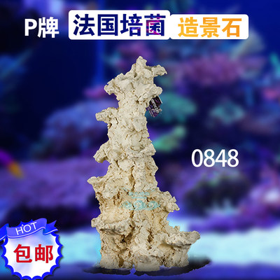 海24牌免暴藻8鱼缸s0送88sp造景石含菌种培菌38量水原9 P缸9 货23