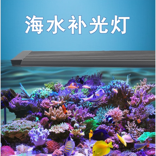 吉印刀锋LEO刀锋海水补光