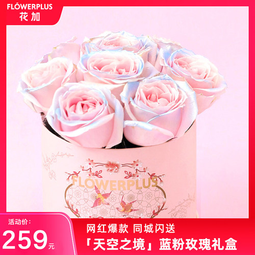 鲜花当日价格 鲜花当日图片 星期三