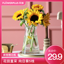 Flowerplus花加鲜切花插花向日葵玫瑰睡莲水养鲜花速递云南直采