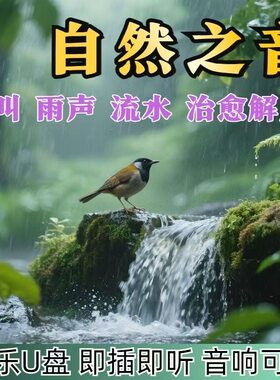 大自然纯音乐白噪音减压疗愈流水声滴水声鸟鸣声乐助眠音乐u盘