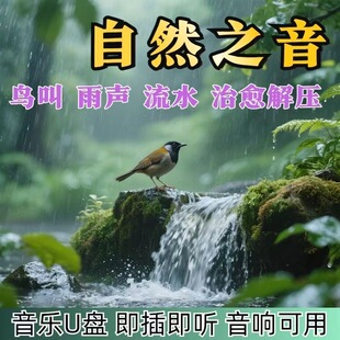 大自然纯音乐白噪音减压疗愈流水声滴水声鸟鸣声乐助眠音乐u盘