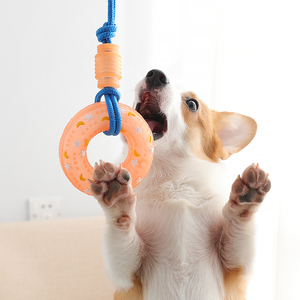 狗狗玩具小狗发声用品训练球