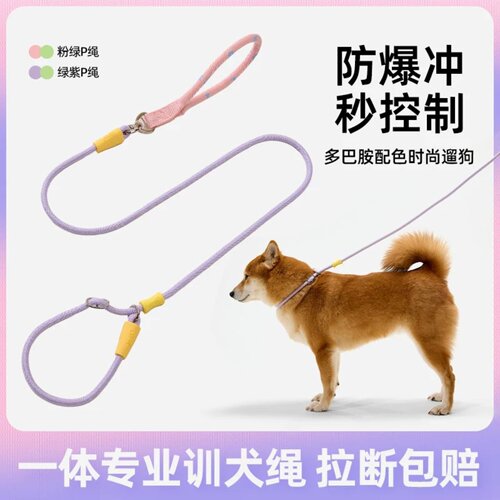 P绳P链狗狗牵引绳防爆冲套脖狗链
