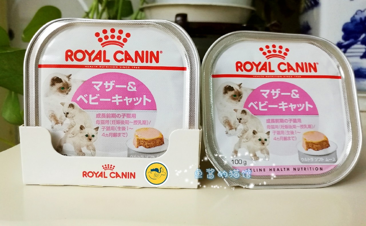 鱼酱 现货 皇家奶糕离乳期1-4月幼猫成猫怀孕母猫慕斯奶糕罐100g