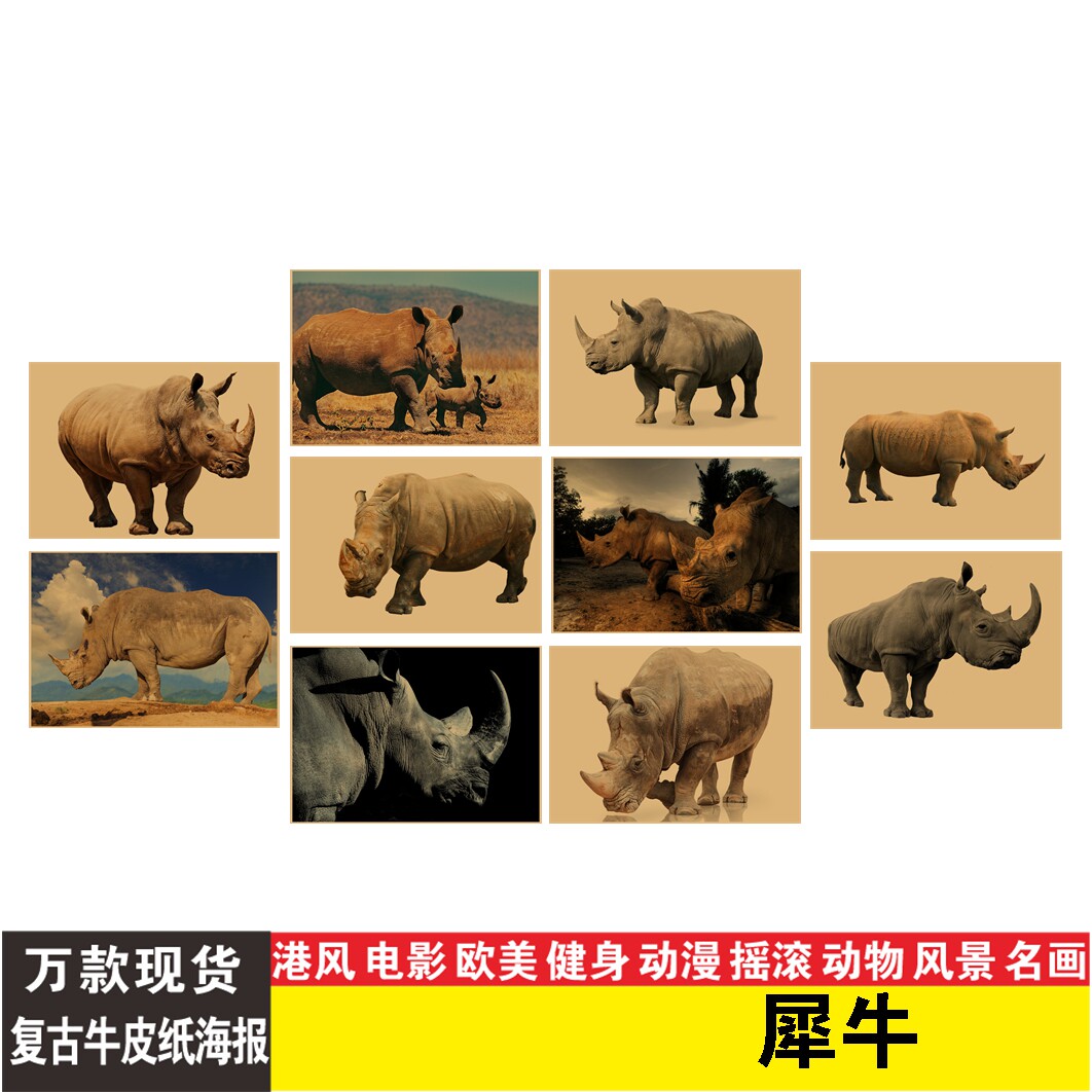 犀牛海报复古牛皮纸贴画动物早教儿童房健身房卧室床头励志墙纸图片