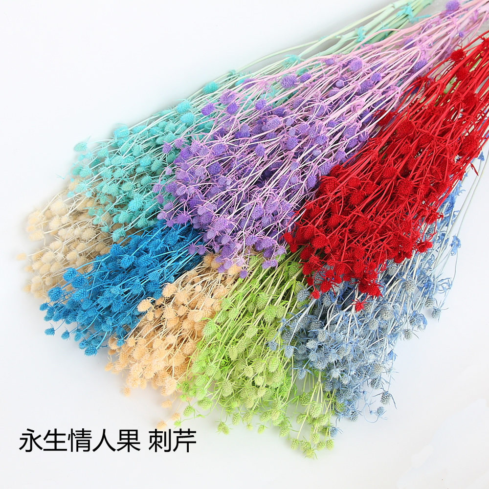 情人果 永生花保鲜花家居插花拍照道具手工制作真花干花diy材料