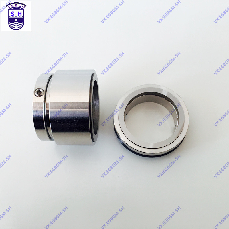 博格曼弹簧机械密封