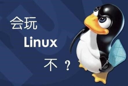 Linux环境搭建Mysql Nginx配置代写UbuntuCentos技术支持问题咨询