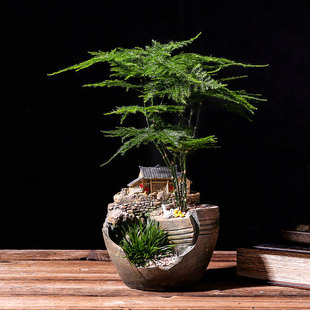 禅意 多肉植物盆器文竹盆栽创意复古花盆个性 室内微景观小摆件中式