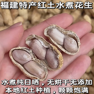 闽南25年新秋季水煮花生白晒纯日晒咸干水煮沙地种植水煮无添加