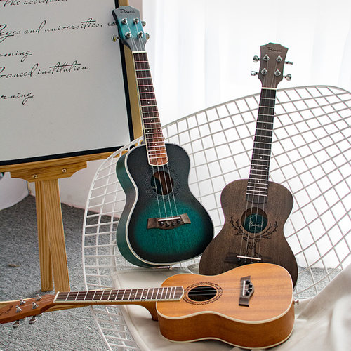 班士顿尤克里里初学者成人入门