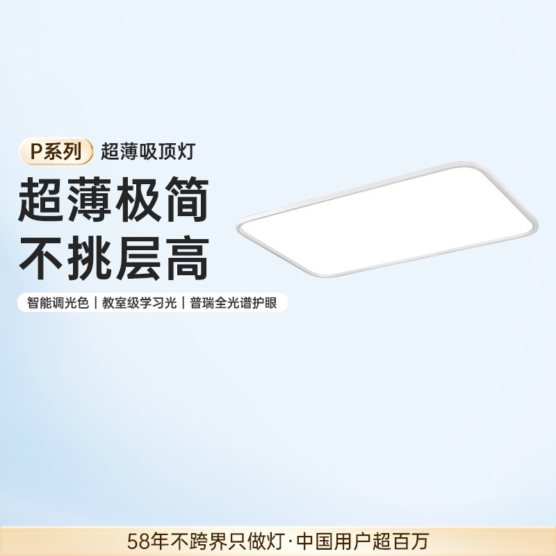 德国柏曼全光谱护眼客厅灯吸顶灯普瑞灯珠简约长方形智能灯具