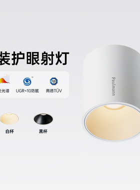 德国柏曼全光谱明装护眼射灯客厅防眩照明筒灯小山丘洗墙无主灯具