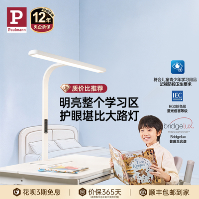 德国柏曼儿童学习台式桌面大路灯