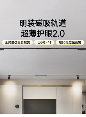 德国柏曼全光谱护眼磁吸轨道射灯明装超薄客厅不吊顶智能无主灯具