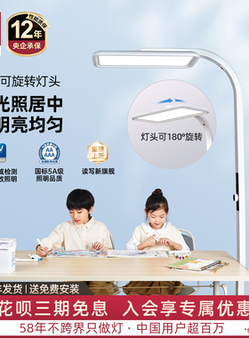 德国柏曼骑士Z全光谱落地立式护眼灯 儿童学习练琴钢琴专用大路灯