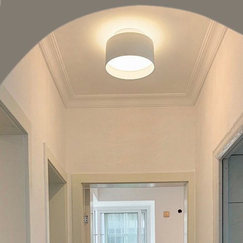 德国柏曼全光谱护眼高亮明装筒灯