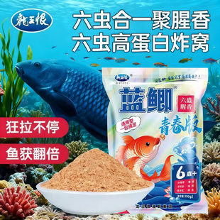 龙王恨鱼饵蓝鲫青春版 通用一包搞定 饵料野钓专用鲫鱼鲤鱼草鱼四季