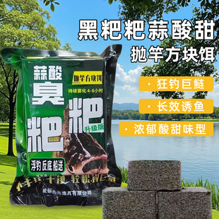 九元蒜酸臭粑粑抛竿方块饵鲢鳙饵浮钓反底船升级版海竿鱼饵料