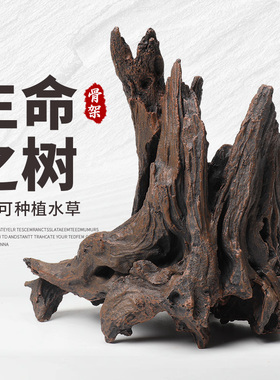 鱼缸仿真紫柚木生命之树骨架沉木树桩造景杜鹃根水景躲避屋水草盆