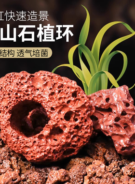 水草固定种植红色打孔火山石大块定植环鱼缸造景装饰底座钻孔