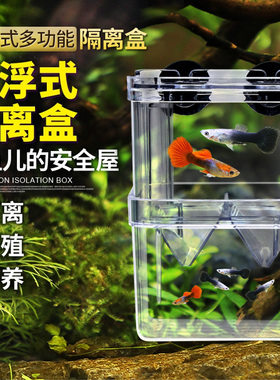 鱼苗繁殖盒孔雀鱼产鱼孵化盒鱼缸透明隔离盒幼鱼斗鱼盒隔离盒大号