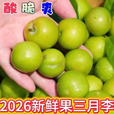 现货新鲜三月李新鲜水果李子早熟三华脆孕妇整箱包邮当季现摘