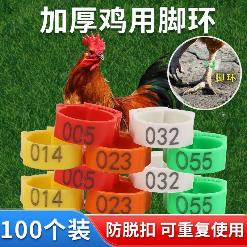 鸡鸭鹅通用可调活扣脚环