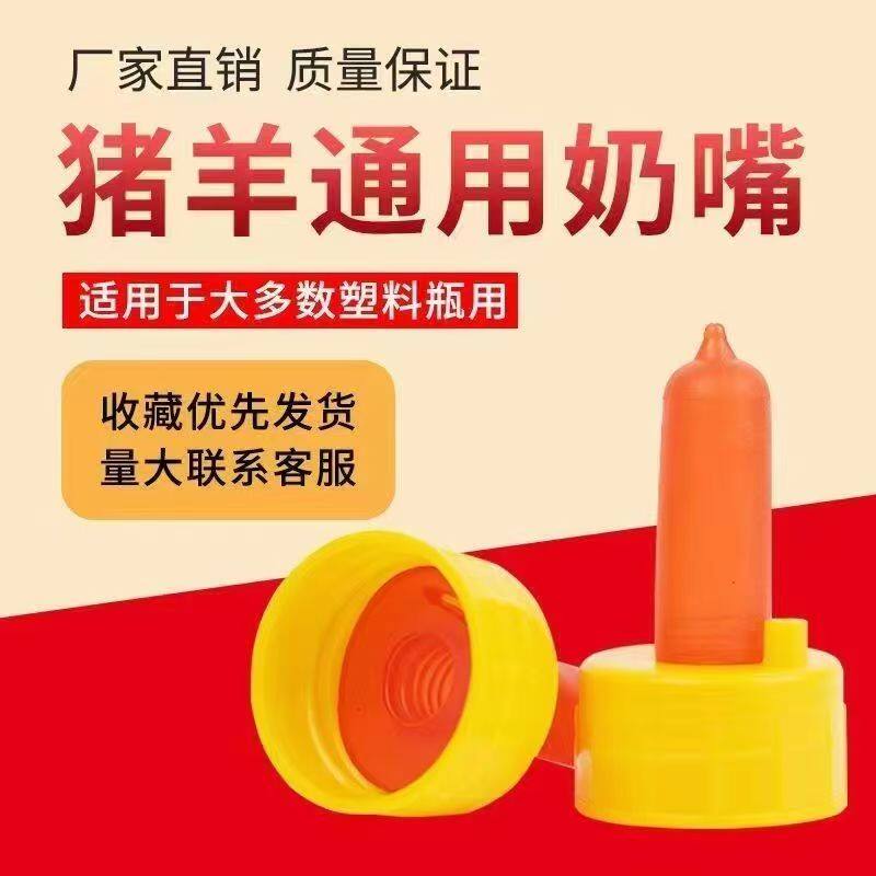 羊用红色奶嘴直接拧饮料瓶喂奶