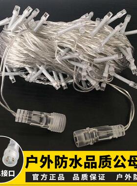 户外led小彩灯闪灯串灯满天星星灯家用过年新年挂树装饰灯氛围灯