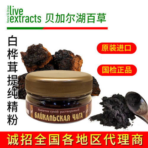 贝加尔湖百草俄罗斯白桦茸桦树茸
