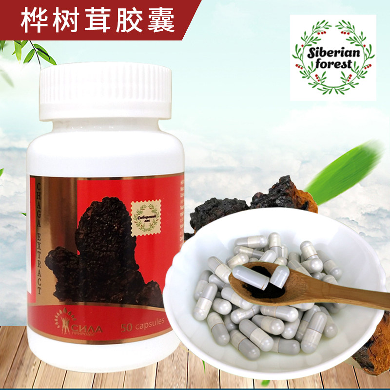 白桦茸胶囊俄罗斯进口野生西伯利亚桦树茸正品桦褐孔菌天然胰岛素